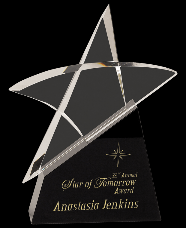 Custom Star Outline Crystal Award
